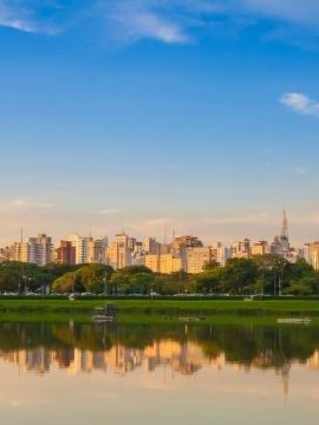 A vista do Parque Ibirapuera é perfeita para caminhadas